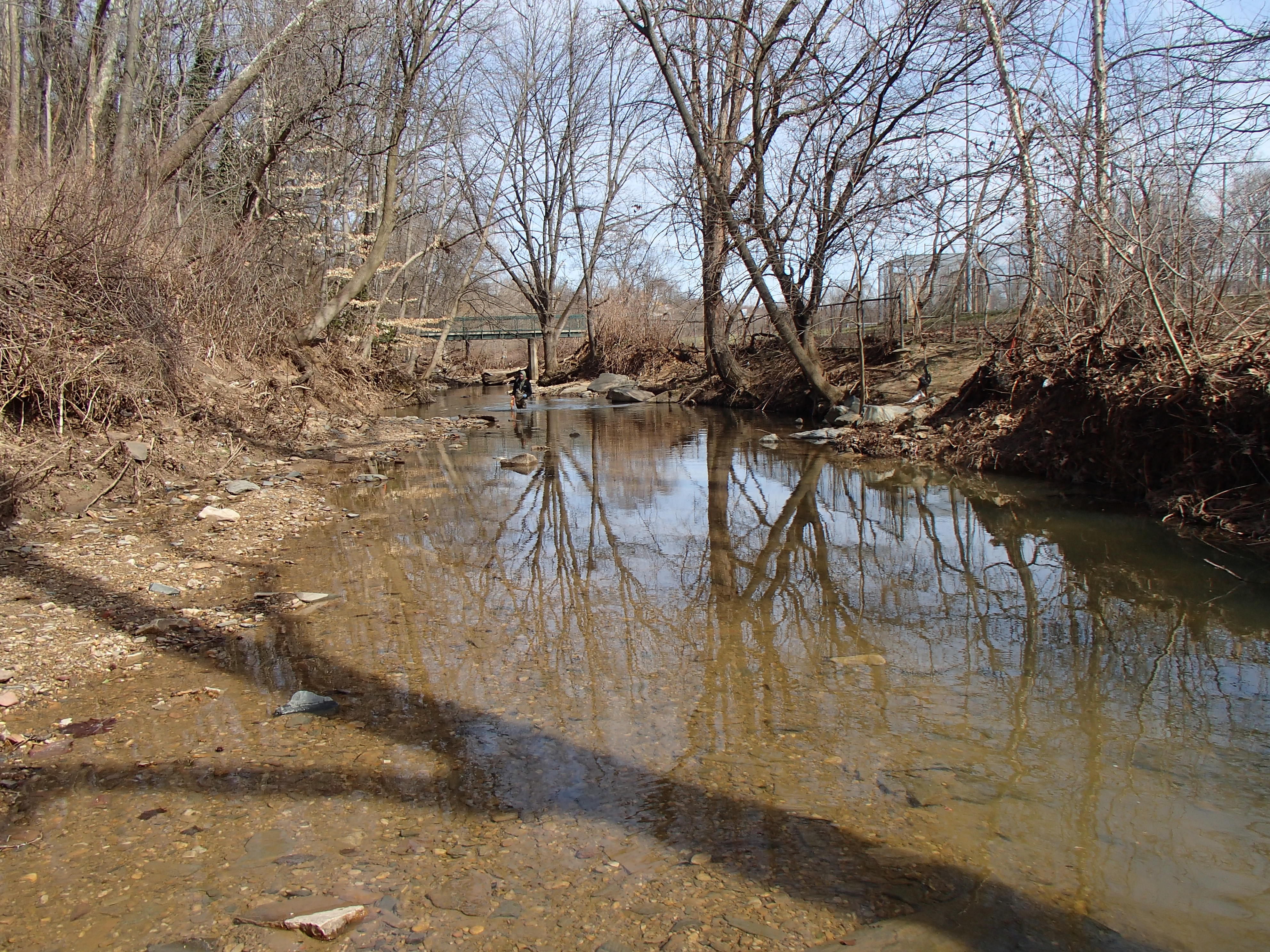 Field photo showing stream conditions at site BACK-105-R-2016_midpoint upstream